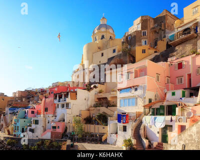 Panoramablick auf das Dorf die Häuser der Fischer von Marina di Corricella, mit der Kirche San Rocco. Isola di Procida, Italien. Stockfoto