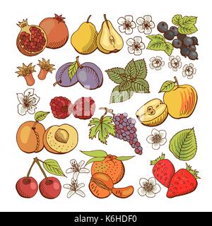 Satz farbiger Beeren und Obst Symbole Stock Vektor
