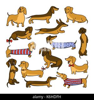 Der Hund dackel Abbildungen Stock Vektor
