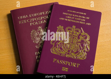 Britischen Paß und polnischen Pass Stockfoto