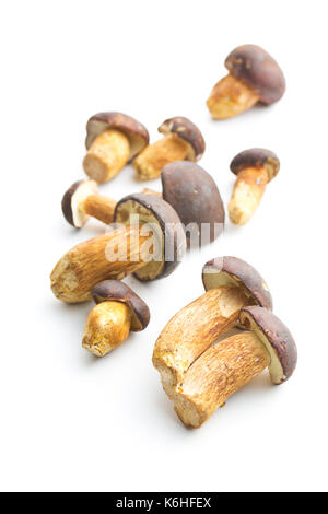 Frischen Steinpilzen auf weißem Hintergrund. Leckeres Essen Pilze. Stockfoto