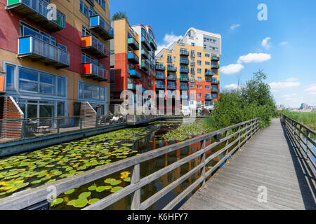 Greenwich Millennium Dorf auf der Halbinsel von Greenwich in London, England Vereinigtes Königreich Großbritannien Stockfoto