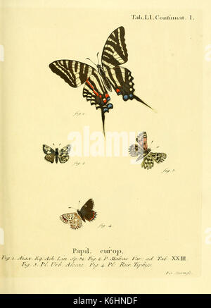 Schmetterlinge in Abbildungen nach der Natur (Tab. LI) (6103309030) Stockfoto