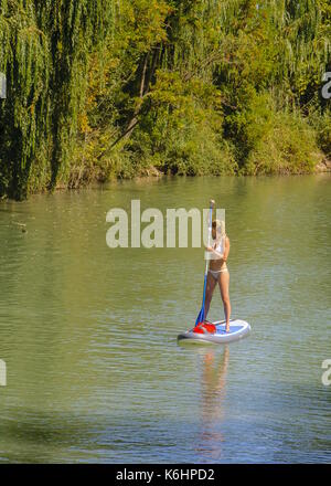 Aranjuez, Madrid, Spanien. 10. September, 2017. Eine Frau üben Paddle Surf durch den Fluss Tejo in Aranjuez, Spanien. Stockfoto