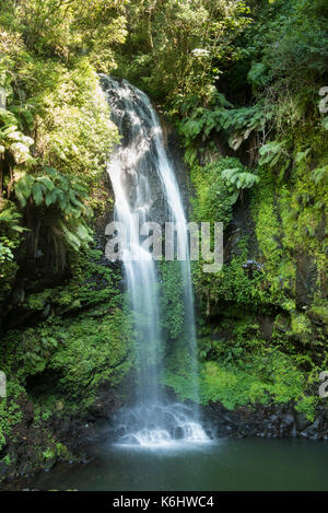 Antankarana Wasserfall, Amber Mountain National Park, Madagaskar Stockfoto