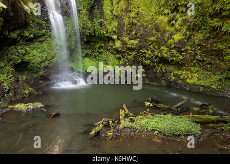 Antankarana Wasserfall, Amber Mountain National Park, Madagaskar Stockfoto