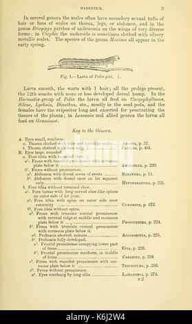 Katalog der Lepidoptera Phalaenae im Britischen Museum (Seite 3) BHL 18410211 Stockfoto