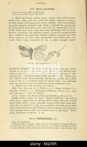 Katalog der Lepidoptera Phalaenae im Britischen Museum (Seite 8) BHL 18410216 Stockfoto