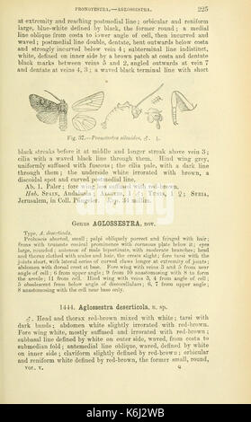 Katalog der Lepidoptera Phalaenae im Britischen Museum (Seite 225) BHL 18410452 Stockfoto