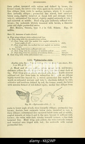 Katalog der Lepidoptera Phalaenae im Britischen Museum (Seite 255) BHL 18410482 Stockfoto