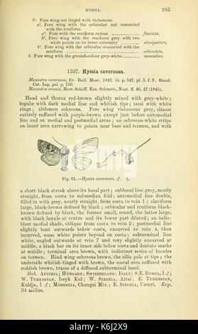 Katalog der Lepidoptera Phalaenae im Britischen Museum (Seite 285) BHL 18410512 Stockfoto