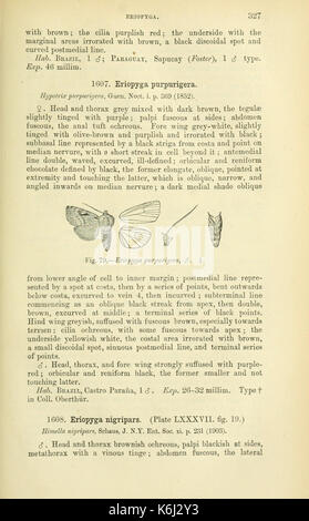 Katalog der Lepidoptera Phalaenae im Britischen Museum (Seite 327) BHL 18410554 Stockfoto