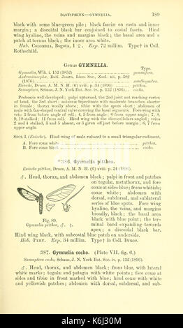 Katalog der Lepidoptera Phalaenae im Britischen Museum (Seite 189) BHL 18408316 Stockfoto