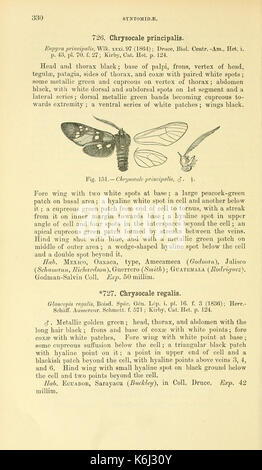Katalog der Lepidoptera Phalaenae im Britischen Museum (Seite 330) BHL 18408457 Stockfoto