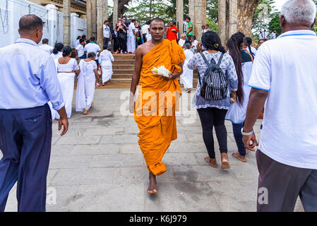 Anuradhapura, Sri Lanka - 16. August 2017: buddhistischer Mönch bringt eine Blume Geschenk für Buddha ruwanwelisaya Stupa in der antiken Stadt Anuradhapura Stockfoto