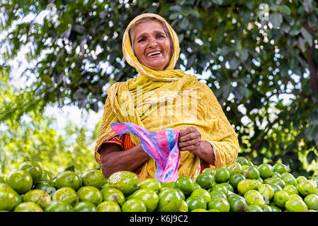 Welimada, Sri Lanka - 20. August 2017: ein lächelndes papaya Verkäufer in der traditionellen lokalen Markt Stockfoto