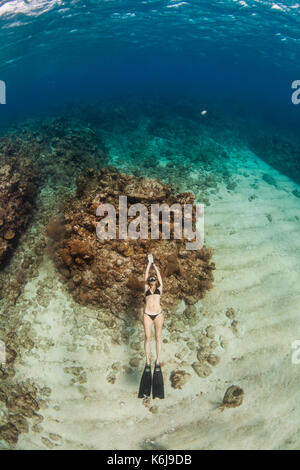 Frau schwebend, freitauchen Unterwasser aus Küste von Roatan Islands Riff, Honduras Stockfoto