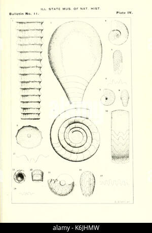 Bulletin der Illinois State Museum of Natural History BHL 8336007 Stockfoto