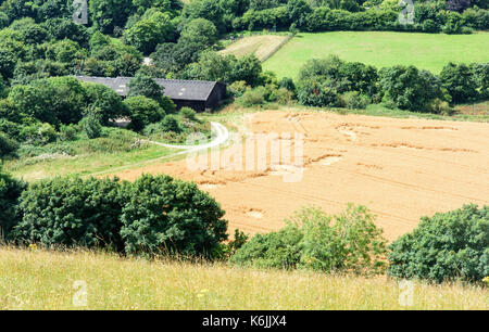 Eine Scheune in Bäume neben Felder und Fruchtarten in der hügeligen Landschaft von England Dorset Downs eingebettet. Stockfoto