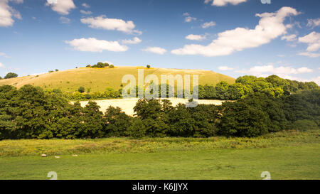 Die Chalk Hill Abbildung bei Cerne Abbas in der hügeligen Landschaft von England Dorset Downs. Stockfoto