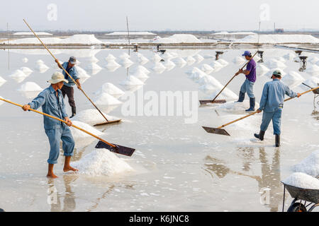 NHA TRANG, VIETNAM - 4/12/2016: Arbeitnehmer Salz in Stapel an der Hon Khoi Salz Felder in Nha Trang, Vietnam organisieren. Stockfoto