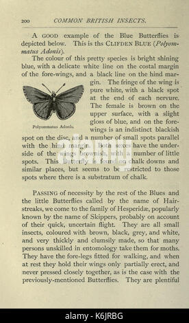 Gemeinsame britische Insekten von den typischen Käfer, Motten und Schmetterlinge von Großbritannien (Seite 200) BHL 20045519 Stockfoto