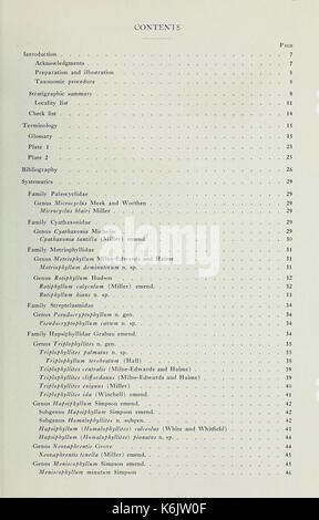 Korallen aus der Chouteau und ähnliche Formationen des Mississippi Valley Region BHL 40483344 Stockfoto