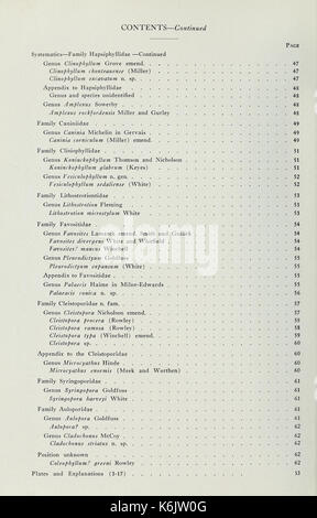 Korallen aus der Chouteau und ähnliche Formationen des Mississippi Valley Region BHL 40483343 Stockfoto