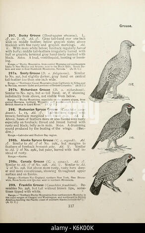 Farbe Schlüssel für nordamerikanische Vögel (Seite 117) BHL 7583622 Stockfoto