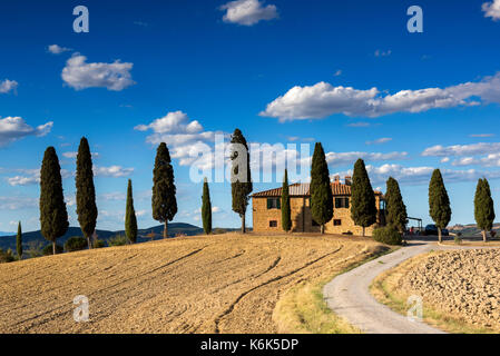 Bauernhaus von Zypressen umgeben und liegt etwas außerhalb von Pienza Val d'Orcia in der Toskana Italien EU Stockfoto