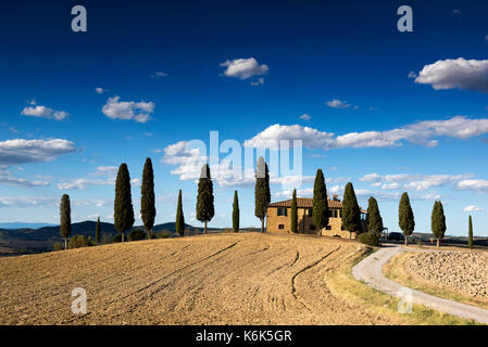 Bauernhaus von Zypressen umgeben und liegt etwas außerhalb von Pienza Val d'Orcia in der Toskana Italien EU Stockfoto
