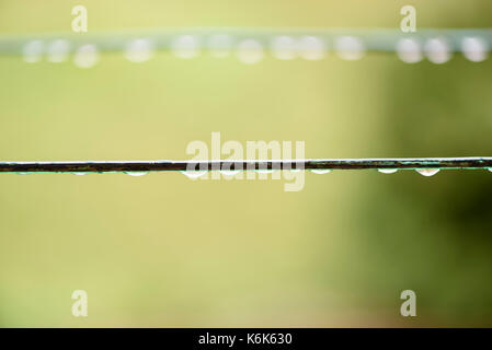 Regen fällt auf einen Draht Stockfoto