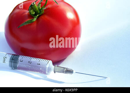 Gentechnik - Tomaten Stockfoto