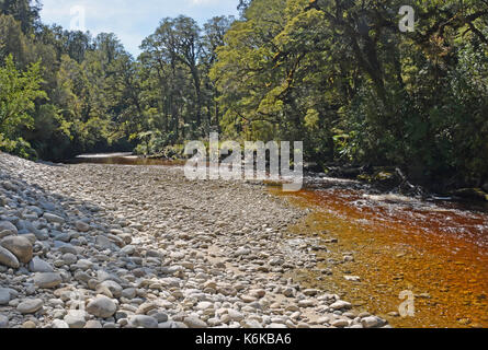 Die oparara River in der Nähe von Karamea, Westküste Neuseeland. Beachten Sie die erstaunliche Golden Brown Kaffee Farbe des Wassers befleckt durch Tannin aus der einheimischen Bäumen Stockfoto