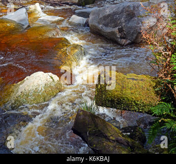 Detailansicht der Oparara River in der Nähe von Karamea, Westküste Neuseeland. Beachten Sie die erstaunliche Golden Brown Kaffee Farbe des Wassers befleckt durch Tannin aus der n Stockfoto