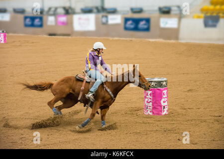 Reitsport, meine Damen National Finals Barrel Racing an der australischen Pferden und Vieh Events Center (AELEC) Indoor Arena, Tamworth NSW Australien, Se Stockfoto
