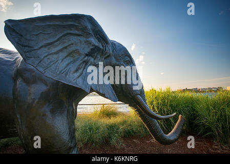 WINSOR, ONTARIO - Sept. 2, 2017: Detail der "Tembo" von Bildhauer Derrick Stephan Hudson in Windsor Skulpturenpark, ein offener Raum, die sehr große, zeigt Stockfoto