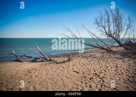 Blick auf Point Pelee National Park Strand im Herbst bei Sonnenuntergang, See Erie, südwestlichen Ontario, Kanada Stockfoto