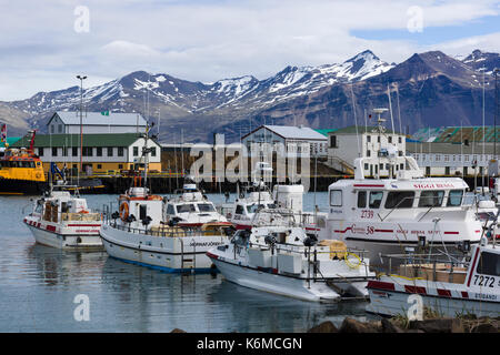 Fischerboote, die im Hafen von Höfn, Island, festgemacht sind, mit Stadthäusern und schneebedeckten Bergen, die sich dramatisch im Hintergrund erheben. Stockfoto