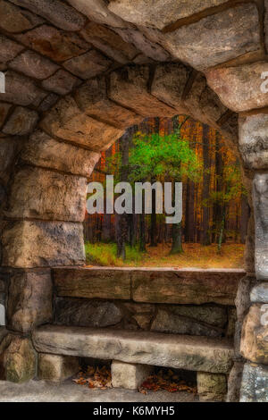 Wald Kontemplation einladen - Blick auf den Wald in der mohonk Erhaltung im Hudson Valley Gegend von Upstate New York. Stockfoto