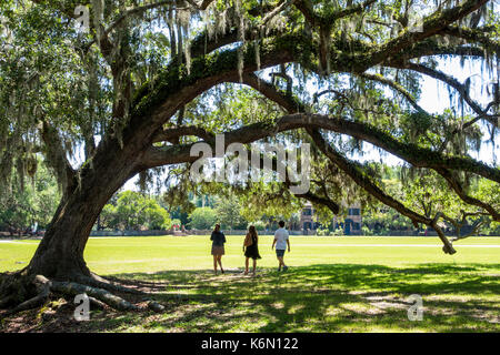 Charleston South Carolina, Middleton Place, Ashley River, Reisplantage, Vorkriegszeit, 1730, Garten, lebende Eiche, Wandern, Erkunden, Teenager Teenager Teenager Teenager Stockfoto