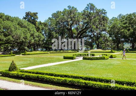 Charleston South Carolina, Middleton Place, Ashley River, Reisplantage, Vorkriegsäums, 1730, Garten, SC170514173 Stockfoto