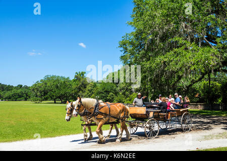 Charleston South Carolina, Middleton Place, Ashley River Water, Reisplantage, Vorkriegsäums, 1730, Garten, Pferdekutsche, Guide, Sprechen, Erklären, vis Stockfoto