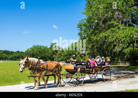 Charleston South Carolina, Middleton Place, Ashley River, Reisplantage, Vorkriegsäums, 1730, Garten, Pferdekutsche, Guide, Sprechen, Erklären, SC1705141 Stockfoto