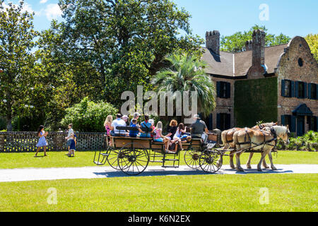 Charleston South Carolina, Middleton Place, Ashley River Water, Reisplantage, Vorkriegsäums, 1730, Garten, Pferdekutsche, Guide, Sprechen, Erklären, vis Stockfoto