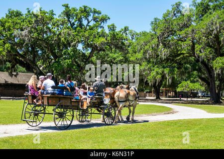 Charleston South Carolina, Middleton Place, Ashley River, Reisplantage, Vorkriegsäums, 1730, Garten, Pferdekutsche, Guide, Sprechen, Erklären, SC1705141 Stockfoto