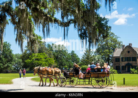 Charleston South Carolina, Middleton Place, Ashley River Water, Reisplantage, Vorkriegsäste, 1730, Garten, Pferdekutsche, Führer, Besucher reisen Stockfoto