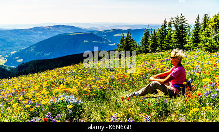 Ältere Frau sitzt unter den Wildblumen in der hochalpinen Der Shuswap Hochland in Zentral British Columbia Kanada Stockfoto