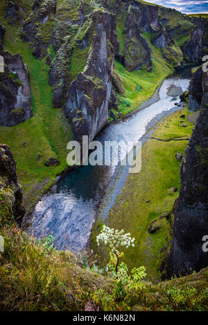 Fjaðrárgljúfur ist ein Canyon im Südosten von Island, die bis zu 100 m tief und etwa 2 Kilometer langen, mit dem Fjaðrá River fließt. Stockfoto
