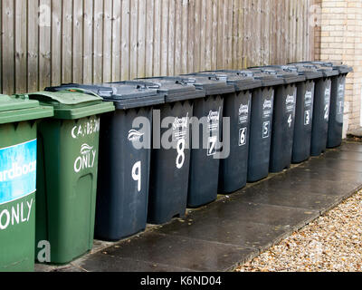 Schwarze und Grüne wheelie Bins aufgereiht gegen einen Zaun vor einem Wohnblock in Barnstaple, Devon, Großbritannien Stockfoto